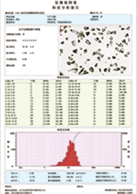 LIRI-2006顆粒圖像分析儀測試結(jié)果圖片